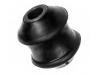 悬架衬套 Control Arm Bushing:861 407 183