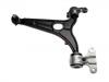 Control Arm:3520.P6