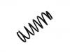 Ressort hélicoidal Coil Spring:54010-VB974