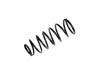 Muelle de chasis Coil Spring:54010-VB924