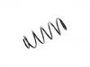 Muelle de chasis Coil Spring:50703898