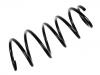 Coil Spring:312 256