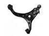 Control Arm:54501-4D001