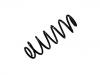 Coil Spring:1343500