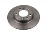 Brake Disc:16 107 619 80