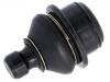 Ball Joint:55502-EB300#