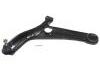 Control Arm:48069-59055