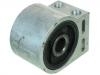 Suspension Bushing Suspension Bushing:21990368