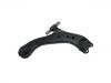 Control Arm:48068-33090