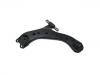 Control Arm:48069-33090